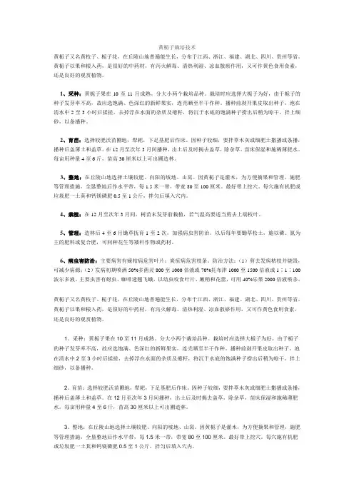 黄栀子栽培技术