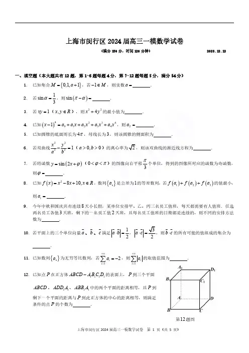 2024届上海市闵行区高三一模数学试题及答案