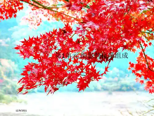 高考生物一轮复习1单元课件必修1高三必修1生物课件