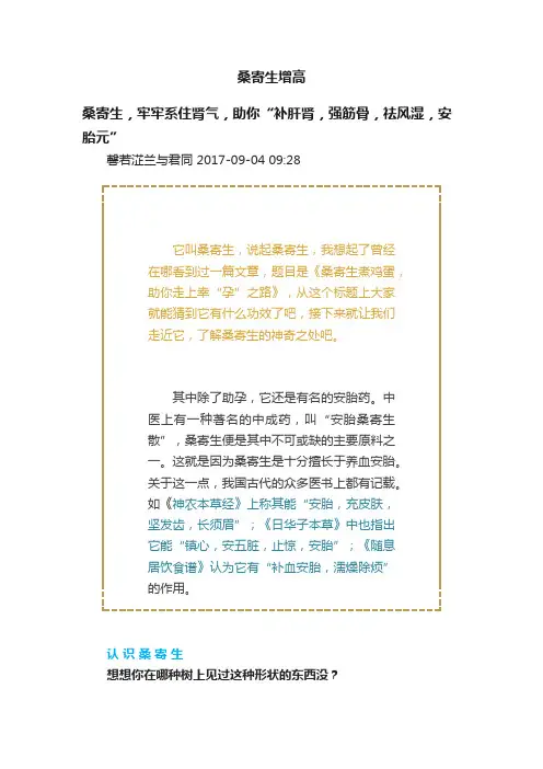 桑寄生增高