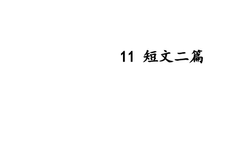第11课《记承天寺夜游》课件(共43张ppt) 部编版语文八年级上册