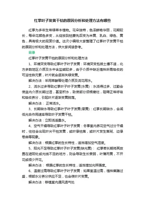 红掌叶子发黄干枯的原因分析和处理方法有哪些