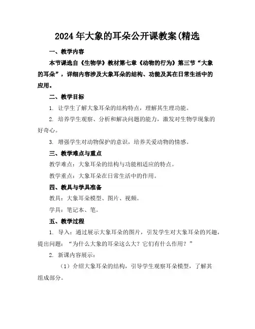 2024年大象的耳朵公开课教案(精选