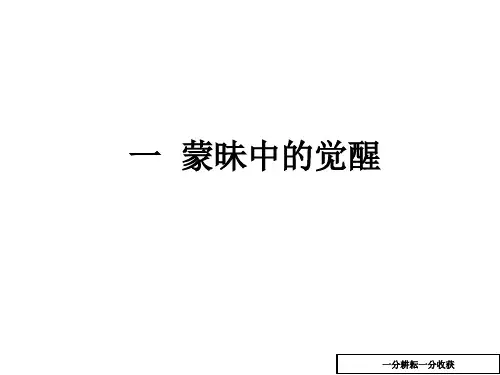 蒙昧中的觉醒课件(高二历史)AUMqnP