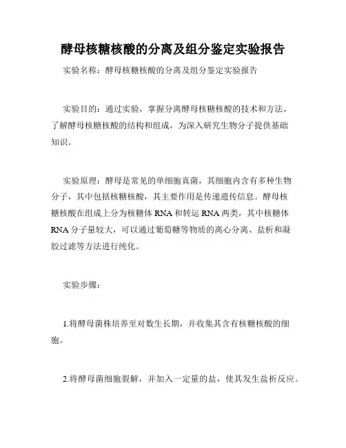 酵母核糖核酸的分离及组分鉴定实验报告