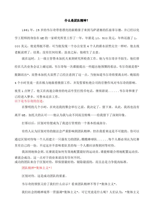 什么是团队精神