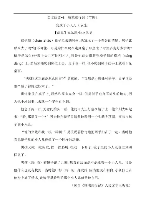 部编版六年级语文-骑鹅旅行记(节选)课外阅读练习题及答案