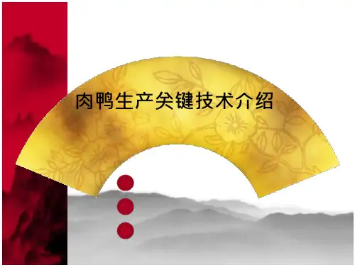 肉鸭生产关键技术介绍PPT
