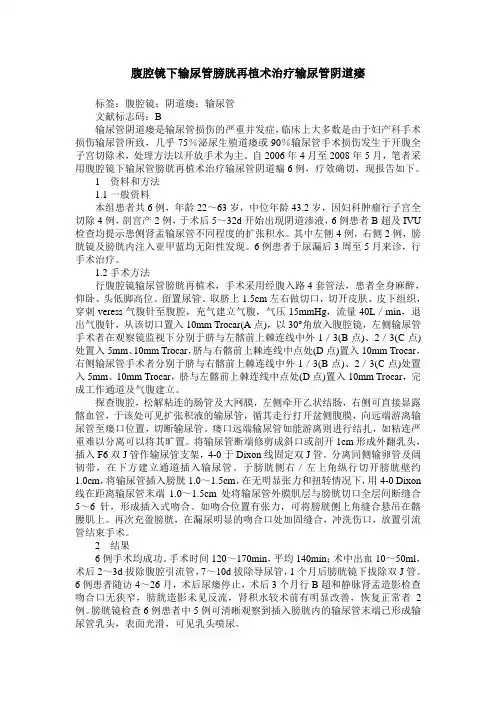 腹腔镜下输尿管膀胱再植术治疗输尿管阴道瘘