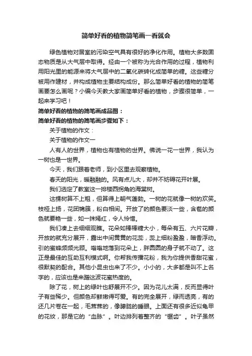 简单好看的植物简笔画一看就会