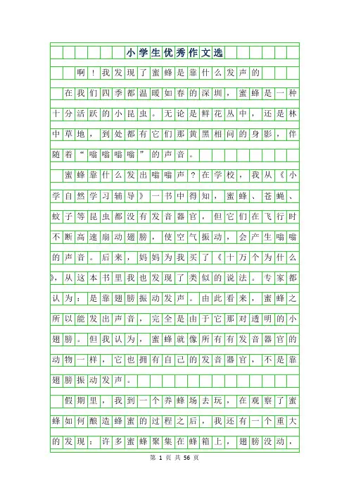 2019年小学生优秀作文选