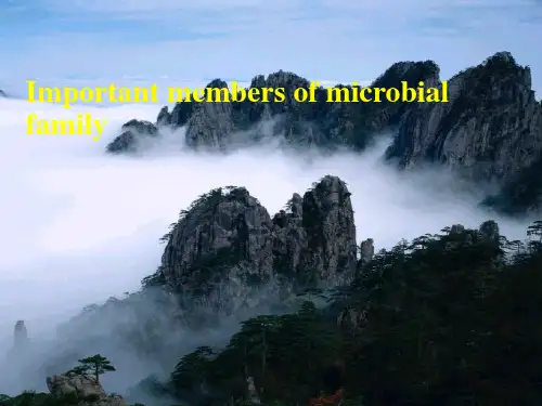 微生物学周德庆第一章4ppt课件