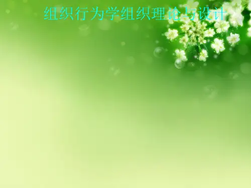组织行为学组织理论与设计优秀课件