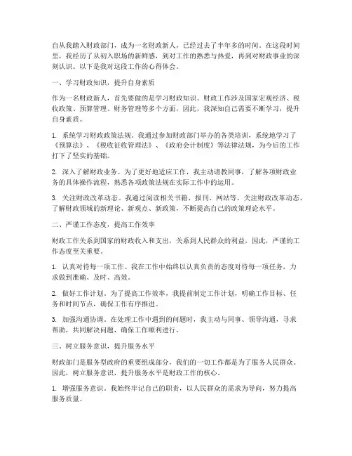 财政新人工作心得体会