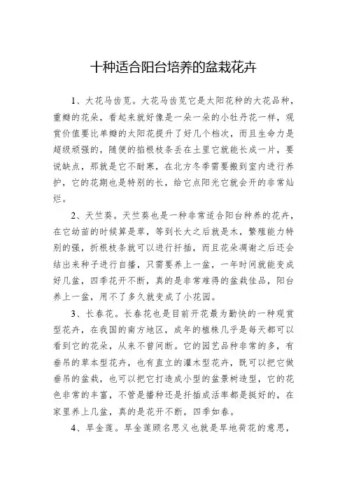 十种适合阳台培养的盆栽花卉
