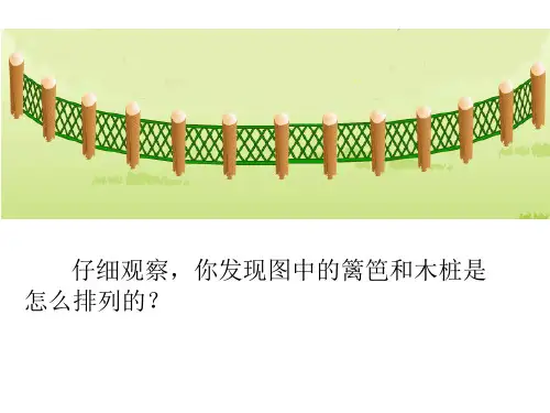 周期现象排列的规律