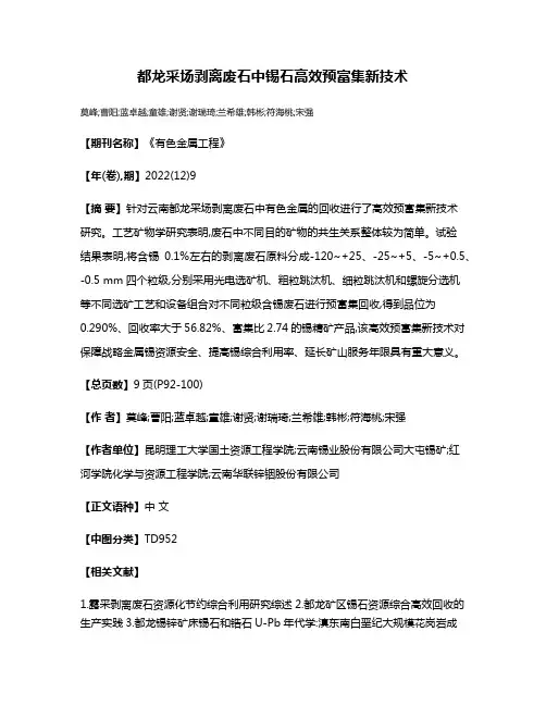都龙采场剥离废石中锡石高效预富集新技术