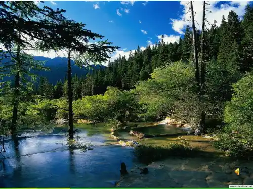 八年级美术上册 多彩的风景课件 湘教版