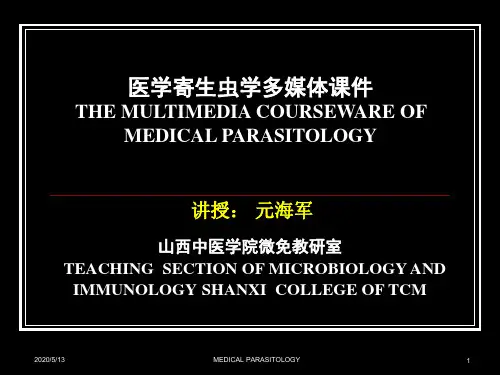 (8)医学原虫概述、溶组织内阿米巴