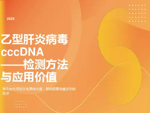 乙肝病毒cccDNA检测
