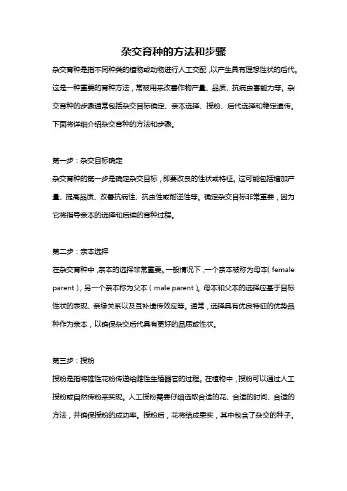 杂交育种的方法和步骤