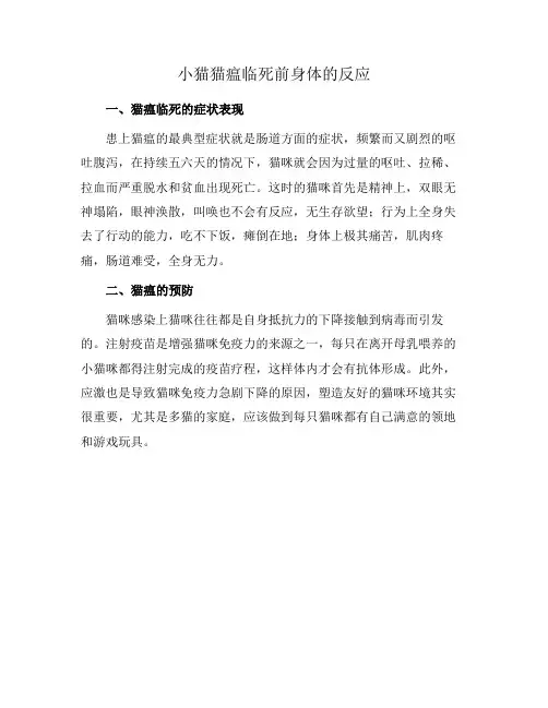 小猫猫瘟临死前身体的反应