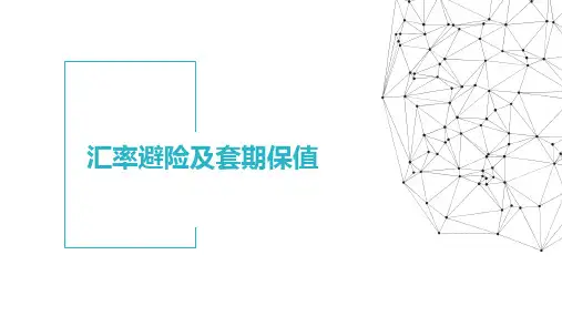 汇率避险及套期保值
