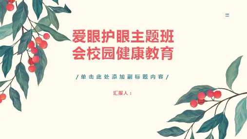 爱眼护眼主题班会ppt课件校园健康教育
