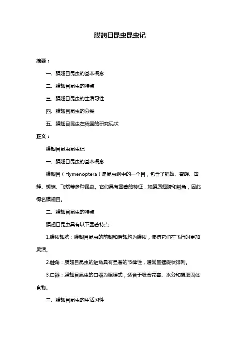 膜翅目昆虫昆虫记
