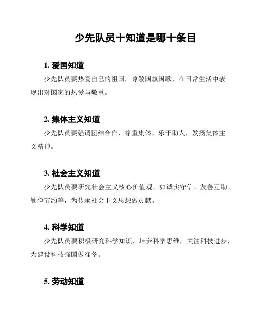 少先队员十知道是哪十条目