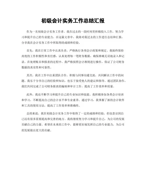 初级会计实务工作总结汇报