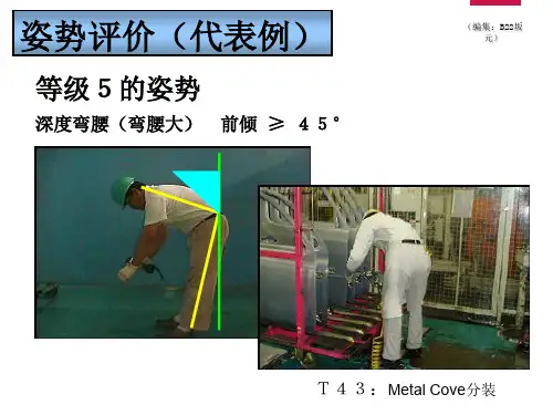 姿势评价(代表例)