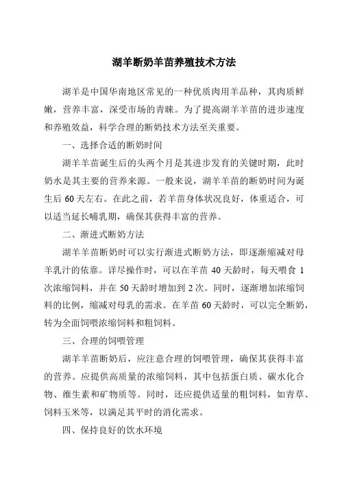 湖羊断奶羊苗养殖技术方法