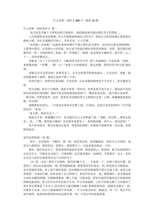 什么的那一刻作文800字(精彩10篇)