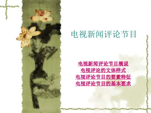 电视新闻评论节目 