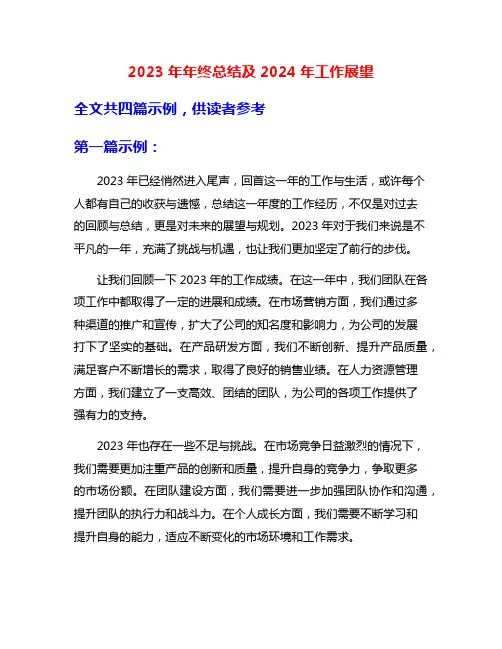 2023年年终总结及2024年工作展望