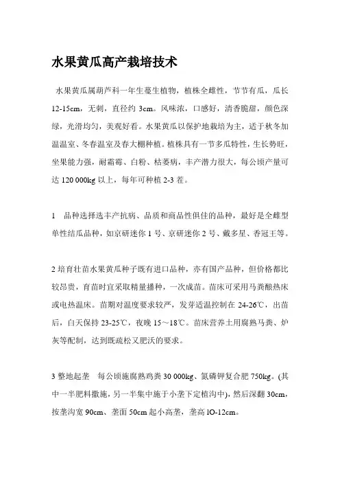 水果黄瓜高产栽培技术
