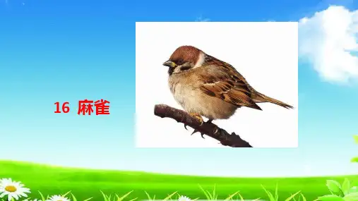 统编版四年级语文上册公开课课件-16麻雀第二课时 (共12张PPT) 