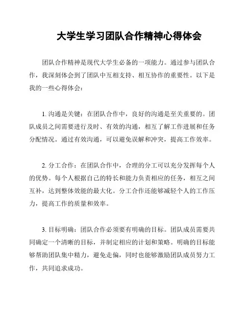 大学生学习团队合作精神心得体会