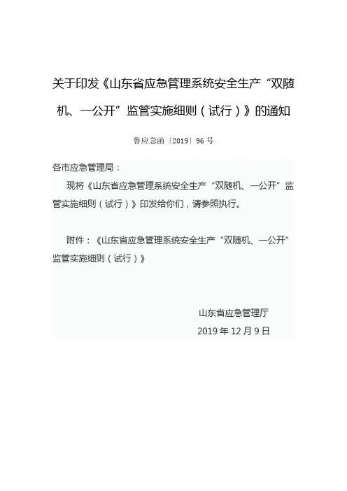 《山东省应急管理系统安全生产双随机、一公开监管实