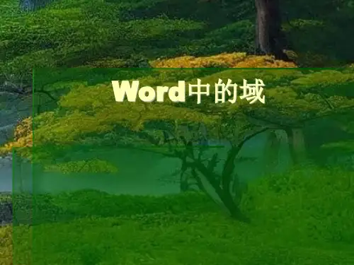 Word中的域