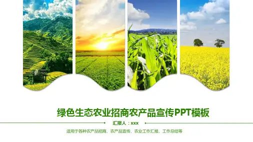 绿色生态农业招商农产品宣传PPT教育课件