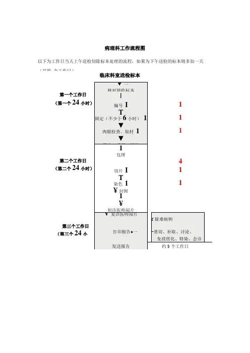 中医院病理科科室制度