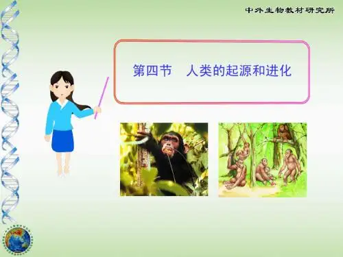 16-4 人类的起源和进化