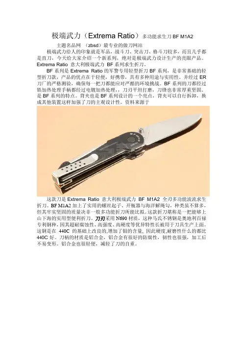 极端武力ExtremaRatio