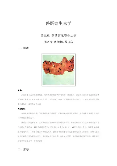 兽医寄生虫学第三篇猪常见寄生虫病第四节猪食道口线虫病