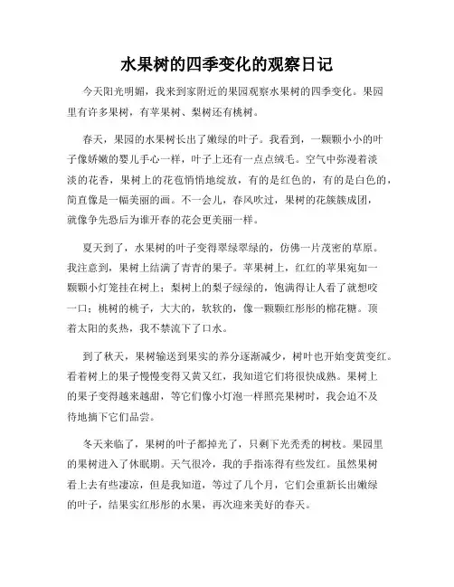 小学三年级作文水果树的四季变化的观察日记