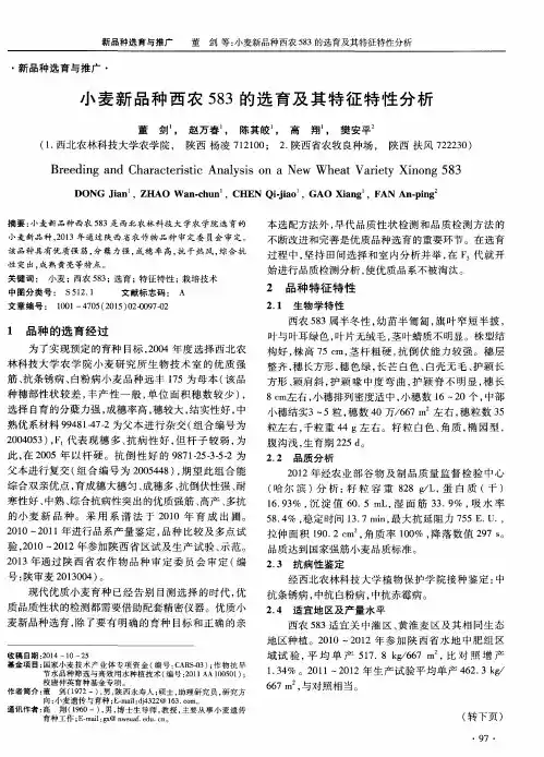 小麦新品种西农583的选育及其特征特性分析