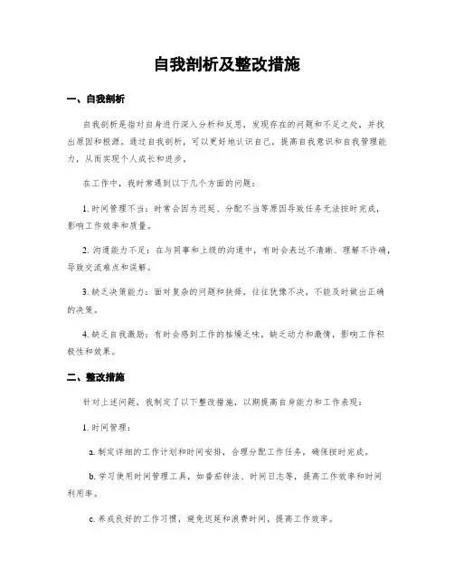 自我剖析及整改措施