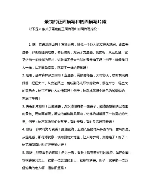 景物的正面描写和侧面描写片段